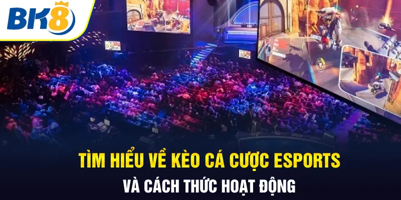 Tìm hiểu về kèo cá cược esports và cách thức hoạt động